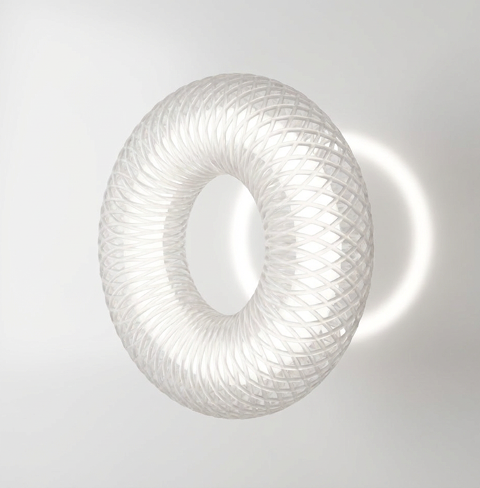 Torus Ring illuminated wall sculpture